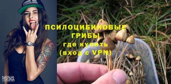 ECSTASY Горно-Алтайск
