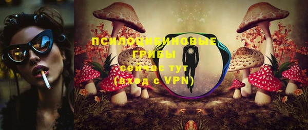 ALPHA PVP Горняк