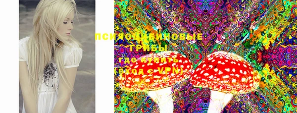 ECSTASY Горно-Алтайск